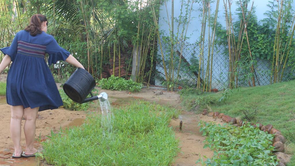 The Field Homestay Hội An Ngoại thất bức ảnh