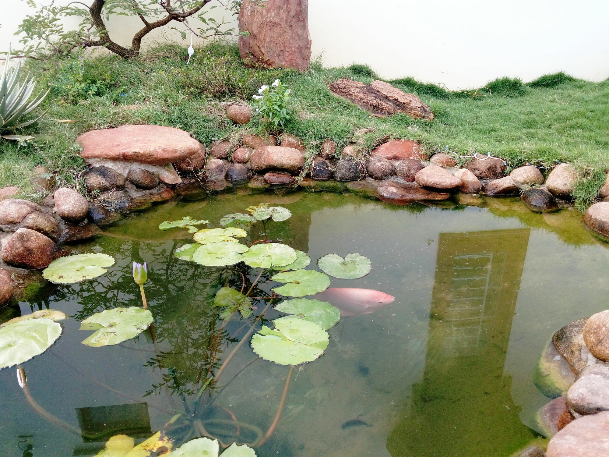 The Field Homestay Hội An Ngoại thất bức ảnh