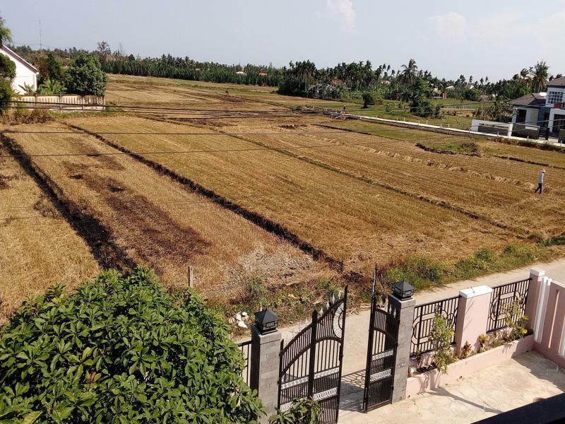 The Field Homestay Hội An Ngoại thất bức ảnh